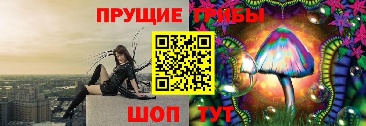 Галлюциногенные грибы Magic Shrooms  сколько стоит  Кизилюрт  Вход с VPN  Псилоцибиновые грибы Psilocybe 