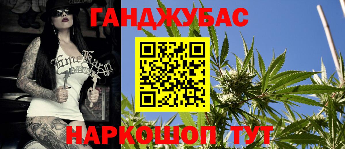 Каннабис сатива Кизилюрт